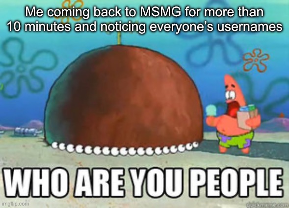 Who are you people | Me coming back to MSMG for more than 10 minutes and noticing everyone’s usernames | image tagged in who are you people | made w/ Imgflip meme maker