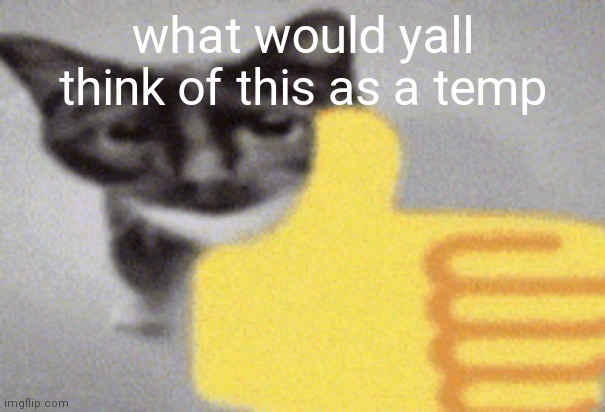 thumbs up cat | what would yall think of this as a temp | image tagged in thumbs up cat | made w/ Imgflip meme maker