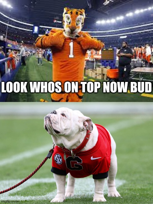 LOOK WHOS ON TOP NOW BUD | image tagged in clemson tiger rival,georgia bulldog | made w/ Imgflip meme maker