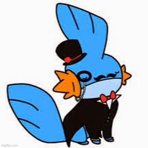 so i heard u liek mudkipz | image tagged in so i heard u liek mudkipz | made w/ Imgflip meme maker