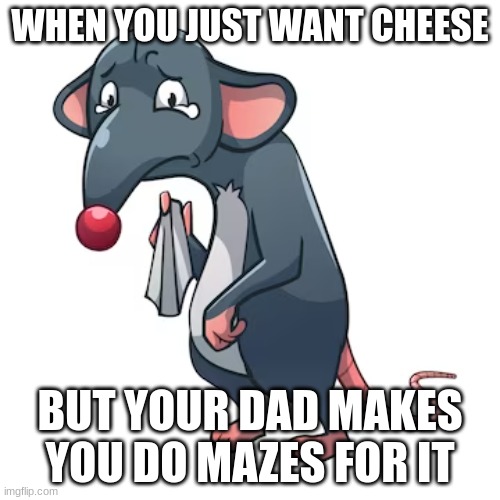B.F Skinner Meme 4 Rats | WHEN YOU JUST WANT CHEESE; BUT YOUR DAD MAKES YOU DO MAZES FOR IT | image tagged in psychology | made w/ Imgflip meme maker