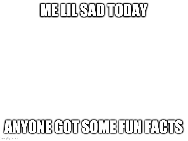ME LIL SAD TODAY; ANYONE GOT SOME FUN FACTS | made w/ Imgflip meme maker