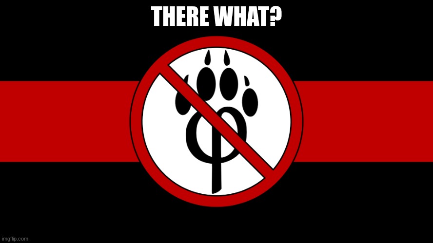 anti furry flag | THERE WHAT? | image tagged in anti furry flag | made w/ Imgflip meme maker