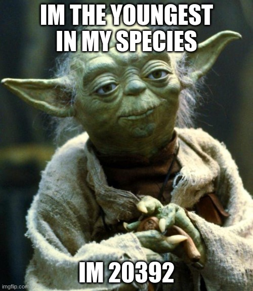 YODAAA | IM THE YOUNGEST IN MY SPECIES; IM 20392 | image tagged in memes,star wars yoda | made w/ Imgflip meme maker