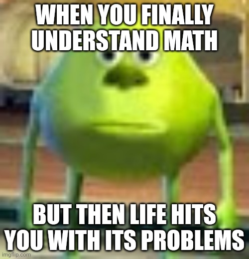 Sully Wazowski | WHEN YOU FINALLY UNDERSTAND MATH; BUT THEN LIFE HITS YOU WITH ITS PROBLEMS | image tagged in sully wazowski | made w/ Imgflip meme maker
