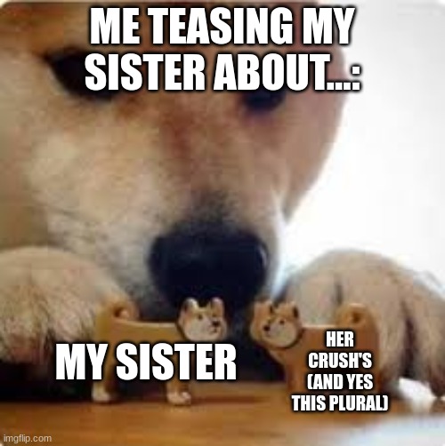 A shiba dog pushing two dog toys together | ME TEASING MY SISTER ABOUT...: MY SISTER HER CRUSH'S (AND YES THIS PLURAL) | image tagged in a shiba dog pushing two dog toys together | made w/ Imgflip meme maker