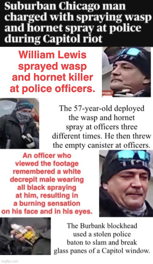 Black Flag Hag wasp arrested | image tagged in assault,domestic terrorist,tuff geezer when armed with spray,treason,boot licker | made w/ Imgflip meme maker