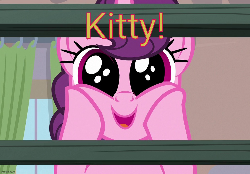 Surprised Sugar Belle (MLP) | Kitty! | image tagged in surprised sugar belle mlp | made w/ Imgflip meme maker