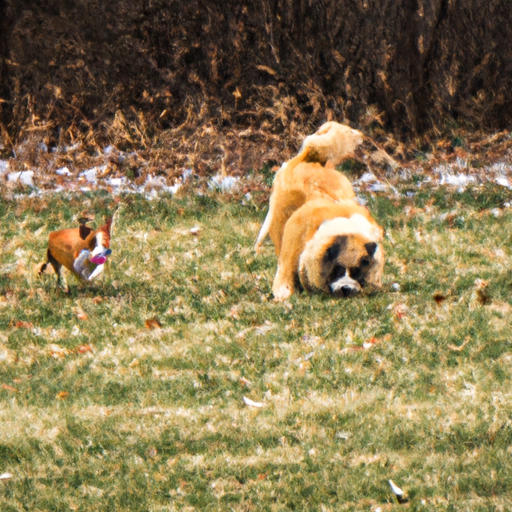 High Quality taco running from dog Blank Meme Template