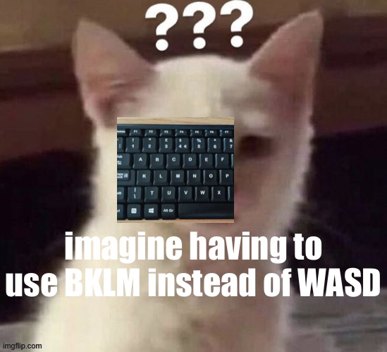 ? | imagine having to use BKLM instead of WASD | made w/ Imgflip meme maker