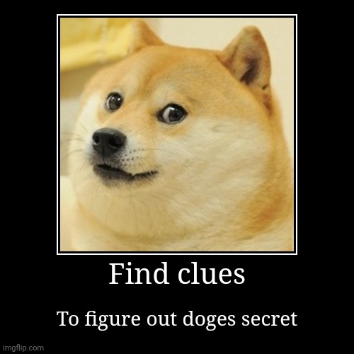 Find da clues | Find clues | To figure out doges secret | image tagged in funny,demotivationals | made w/ Imgflip demotivational maker