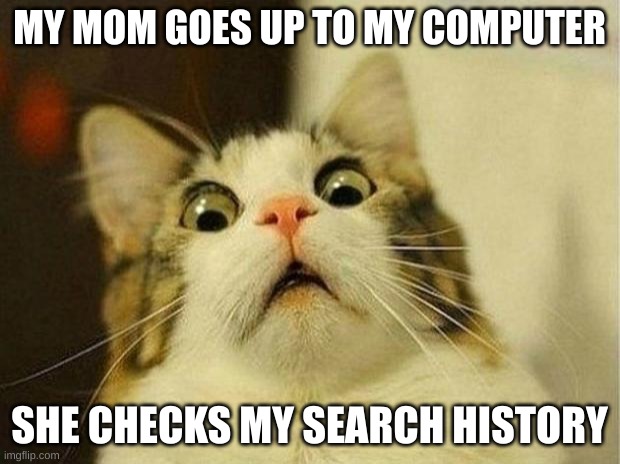 Scared Cat | MY MOM GOES UP TO MY COMPUTER; SHE CHECKS MY SEARCH HISTORY | image tagged in memes,scared cat | made w/ Imgflip meme maker