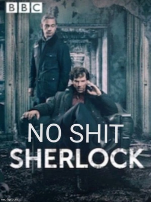 No shit Sherlock | image tagged in no shit sherlock,shit,bullshit,shitpost | made w/ Imgflip meme maker