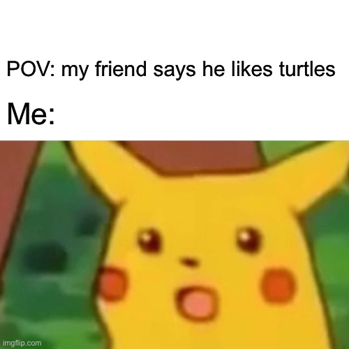 Surprised Pikachu | POV: my friend says he likes turtles; Me: | image tagged in memes,surprised pikachu | made w/ Imgflip meme maker