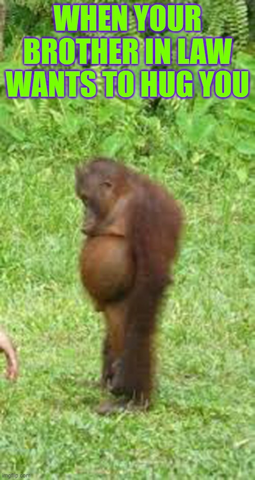 Sad monkey | WHEN YOUR BROTHER IN LAW WANTS TO HUG YOU | image tagged in sad monkey | made w/ Imgflip meme maker