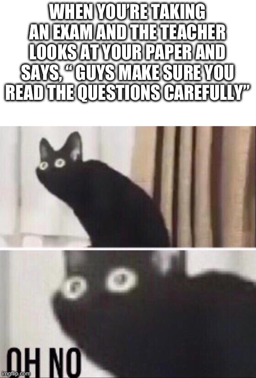 Lol this happened to me today | WHEN YOU’RE TAKING AN EXAM AND THE TEACHER LOOKS AT YOUR PAPER AND SAYS, “ GUYS MAKE SURE YOU READ THE QUESTIONS CAREFULLY” | image tagged in oh no cat,school,memes,you have been eternally cursed for reading the tags | made w/ Imgflip meme maker