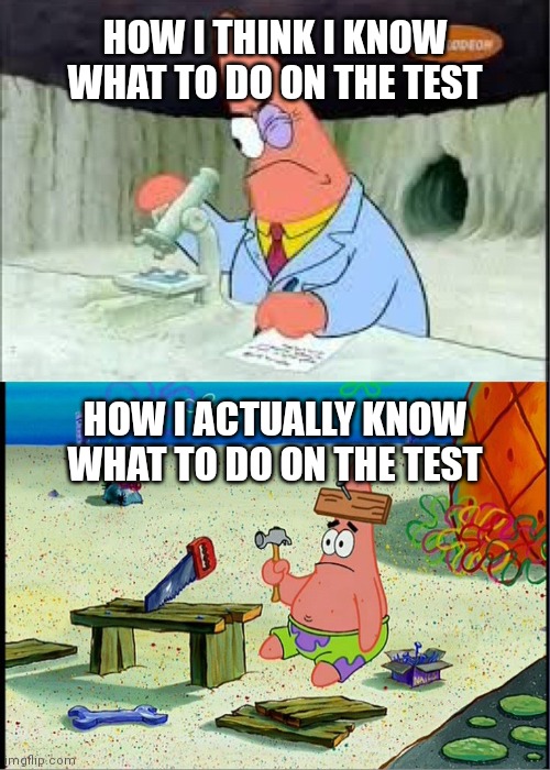 I hate tests asf | HOW I THINK I KNOW WHAT TO DO ON THE TEST; HOW I ACTUALLY KNOW WHAT TO DO ON THE TEST | image tagged in patrick smart dumb,memes,funny,school | made w/ Imgflip meme maker