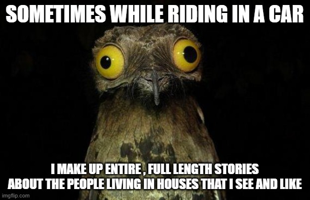 Weird Stuff I Do Potoo | SOMETIMES WHILE RIDING IN A CAR; I MAKE UP ENTIRE , FULL LENGTH STORIES ABOUT THE PEOPLE LIVING IN HOUSES THAT I SEE AND LIKE | image tagged in memes,weird stuff i do potoo | made w/ Imgflip meme maker