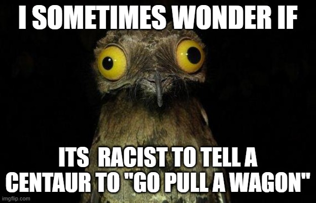 Weird Stuff I Do Potoo Meme | I SOMETIMES WONDER IF; ITS  RACIST TO TELL A CENTAUR TO "GO PULL A WAGON" | image tagged in memes,weird stuff i do potoo | made w/ Imgflip meme maker