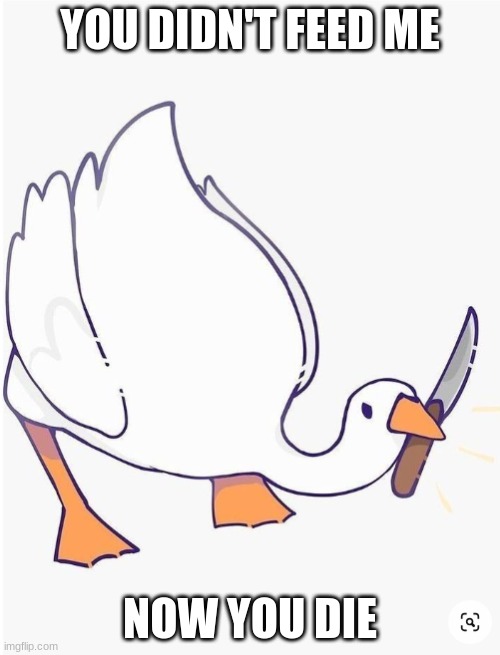 R.I.P Duck Owner | YOU DIDN'T FEED ME; NOW YOU DIE | image tagged in duck with a knife | made w/ Imgflip meme maker