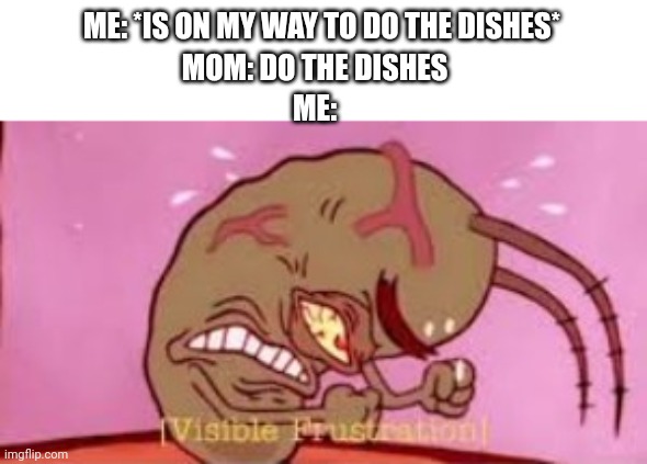 Visible Frustration | MOM: DO THE DISHES; ME: *IS ON MY WAY TO DO THE DISHES*; ME: | image tagged in visible frustration,relatable,memes | made w/ Imgflip meme maker