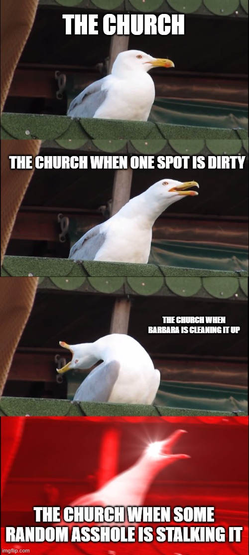 (please do not take this as the serious church, it is the church in genshin.) how the church reacts to everything in genshin | THE CHURCH; THE CHURCH WHEN ONE SPOT IS DIRTY; THE CHURCH WHEN BARBARA IS CLEANING IT UP; THE CHURCH WHEN SOME RANDOM ASSHOLE IS STALKING IT | image tagged in memes,inhaling seagull,genshin impact,genshin | made w/ Imgflip meme maker