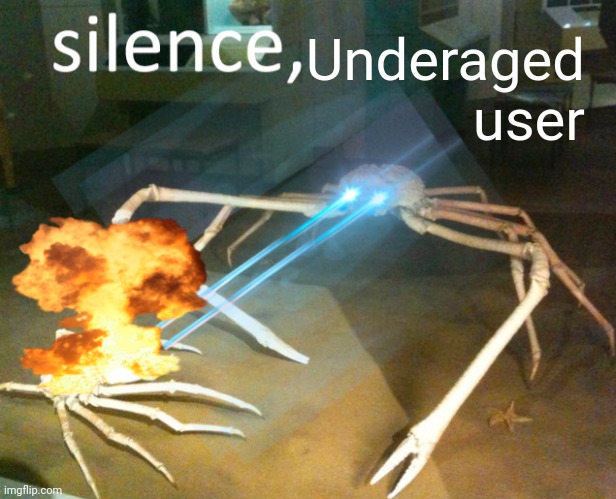 Silence Crab | Underaged user | image tagged in silence crab | made w/ Imgflip meme maker