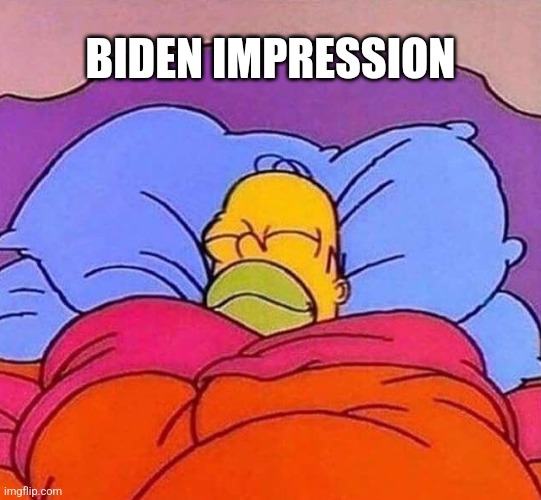 Homer Simpson sleeping peacefully | BIDEN IMPRESSION | image tagged in homer simpson sleeping peacefully | made w/ Imgflip meme maker