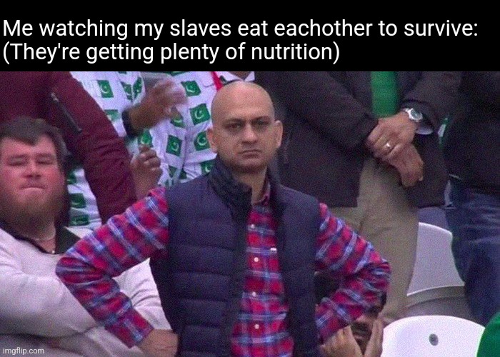 How do I make them stop | Me watching my slaves eat eachother to survive: 
(They're getting plenty of nutrition) | image tagged in angry pakistani fan | made w/ Imgflip meme maker