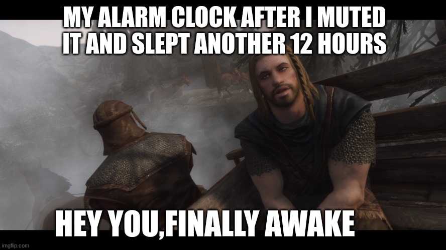hey you | MY ALARM CLOCK AFTER I MUTED IT AND SLEPT ANOTHER 12 HOURS; HEY YOU,FINALLY AWAKE | image tagged in skyrim | made w/ Imgflip meme maker