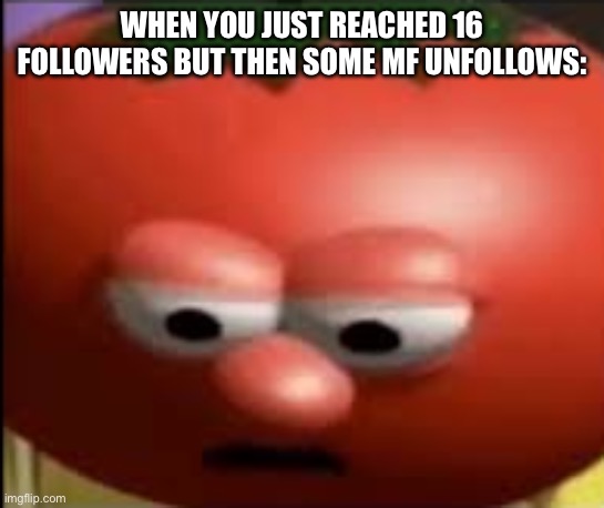 Sad tomato | WHEN YOU JUST REACHED 16 FOLLOWERS BUT THEN SOME MF UNFOLLOWS: | image tagged in sad tomato | made w/ Imgflip meme maker