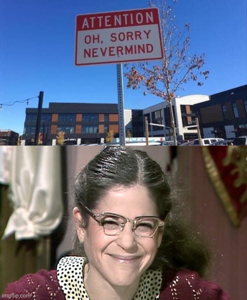 Oh , those Canadians | image tagged in emily litella,sorry i annoyed you,polite,x all the y even bother,stop sign,well yes but actually no | made w/ Imgflip meme maker