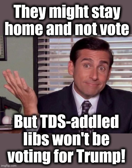 Michael Scott Shrugs | They might stay home and not vote But TDS-addled libs won't be
voting for Trump! | image tagged in michael scott shrugs | made w/ Imgflip meme maker