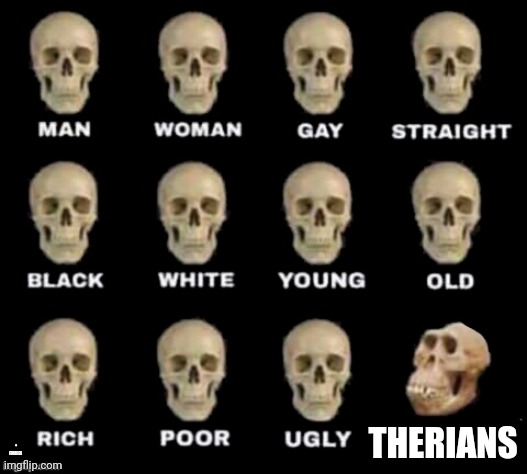 idiot skull | THERIANS; + FURRIES | image tagged in idiot skull,memes,furry,therian | made w/ Imgflip meme maker