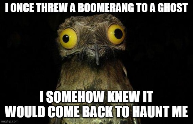 Weird Stuff I Do Potoo | I ONCE THREW A BOOMERANG TO A GHOST; I SOMEHOW KNEW IT WOULD COME BACK TO HAUNT ME | image tagged in memes,weird stuff i do potoo | made w/ Imgflip meme maker