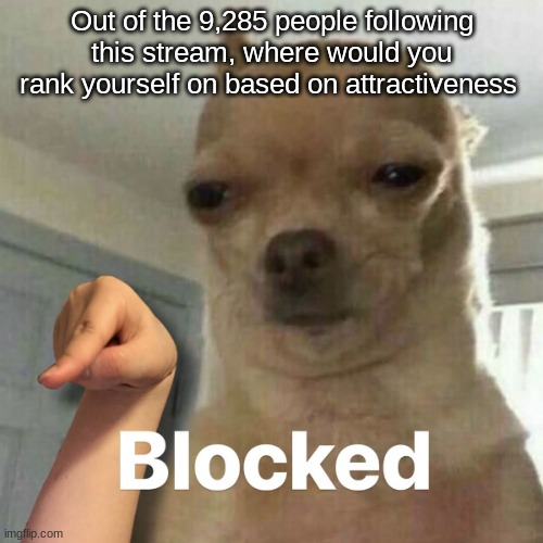 blocked | Out of the 9,285 people following this stream, where would you rank yourself on based on attractiveness | image tagged in blocked | made w/ Imgflip meme maker