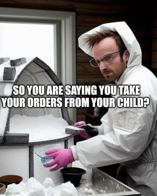 Snowcones | SO YOU ARE SAYING YOU TAKE YOUR ORDERS FROM YOUR CHILD? | image tagged in snowcones | made w/ Imgflip meme maker