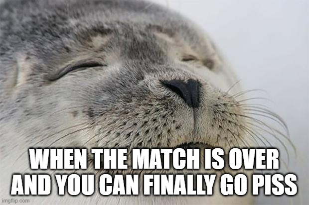 Satisfied Seal Meme | WHEN THE MATCH IS OVER AND YOU CAN FINALLY GO PISS | image tagged in memes,satisfied seal | made w/ Imgflip meme maker