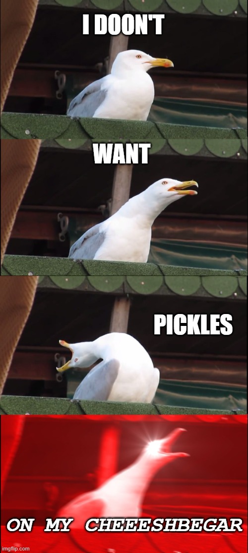 CHEEESHBEGAR (misspelling done on purpose) | I DOON'T; WANT; PICKLES; ON MY CHEEESHBEGAR | image tagged in memes,inhaling seagull | made w/ Imgflip meme maker