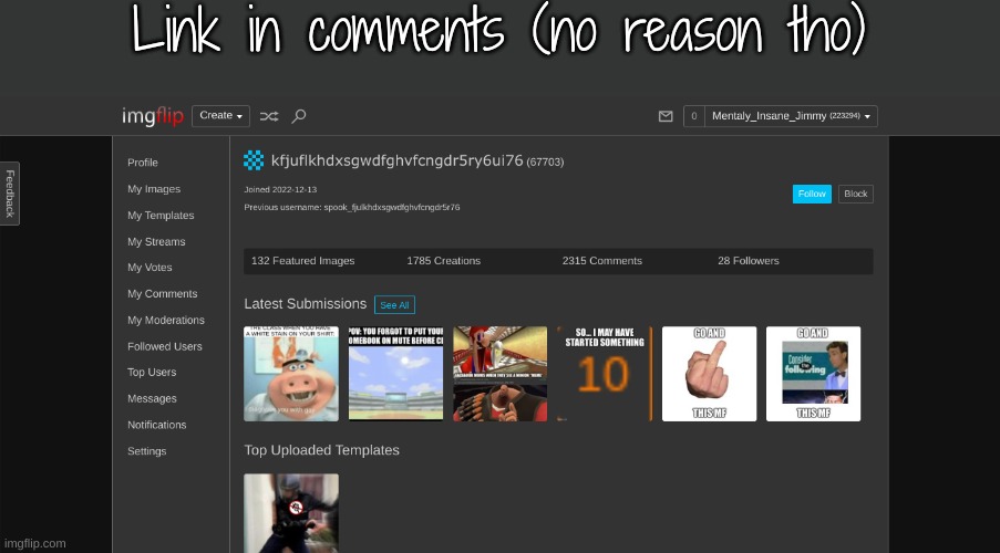 Link in comments (no reason tho) | made w/ Imgflip meme maker