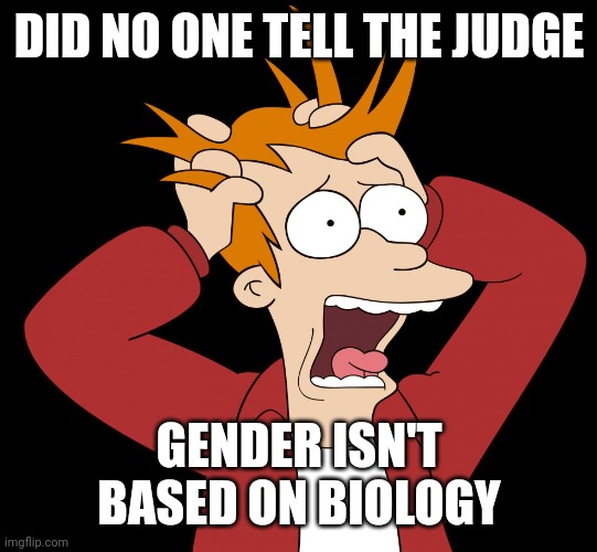 Futurama Fry Screaming | DID NO ONE TELL THE JUDGE GENDER ISN'T BASED ON BIOLOGY | image tagged in futurama fry screaming | made w/ Imgflip meme maker