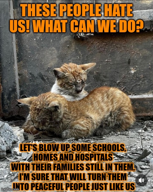 This #lolcat wonders if blowing people up will make them hate you less | THESE PEOPLE HATE US! WHAT CAN WE DO? LET'S BLOW UP SOME SCHOOLS, 
HOMES AND HOSPITALS 
WITH THEIR FAMILIES STILL IN THEM. 
I'M SURE THAT WILL TURN THEM 
INTO PEACEFUL PEOPLE JUST LIKE US | image tagged in hate,war,violence,peace,lolcat | made w/ Imgflip meme maker