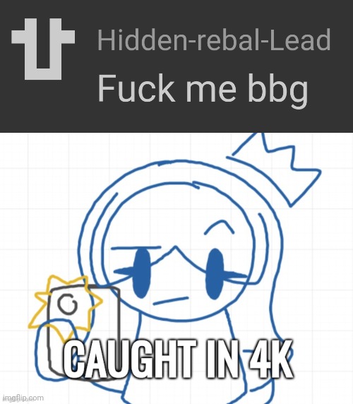 image tagged in caught in 4k | made w/ Imgflip meme maker