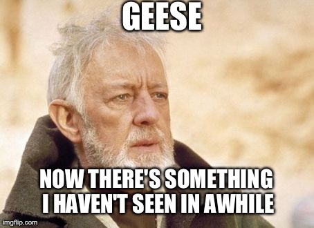 Obi Wan Kenobi Meme | GEESE NOW THERE'S SOMETHING I HAVEN'T SEEN IN AWHILE | image tagged in memes,obi wan kenobi | made w/ Imgflip meme maker
