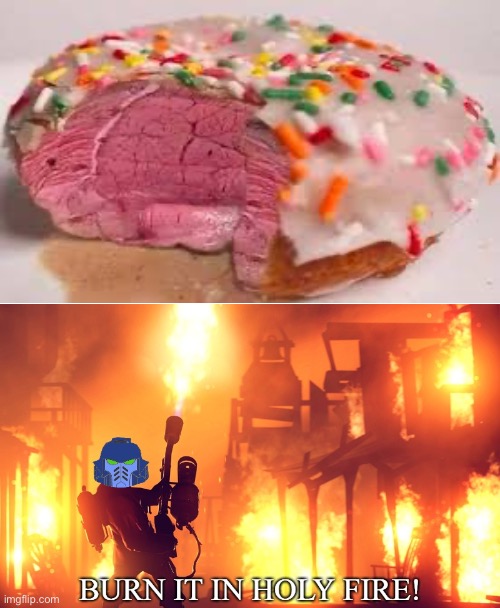 Steak donut | image tagged in burn it in holy fire 1,cursed,donut,steak | made w/ Imgflip meme maker