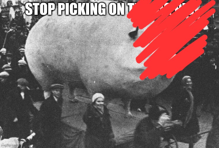 BIGPIG | STOP PICKING ON THE BIG PIG | image tagged in bigpig | made w/ Imgflip meme maker