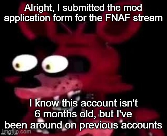 Foxy being surprised asf | Alright, I submitted the mod application form for the FNAF stream; I know this account isn't 6 months old, but I've been around on previous accounts | image tagged in foxy being surprised asf | made w/ Imgflip meme maker