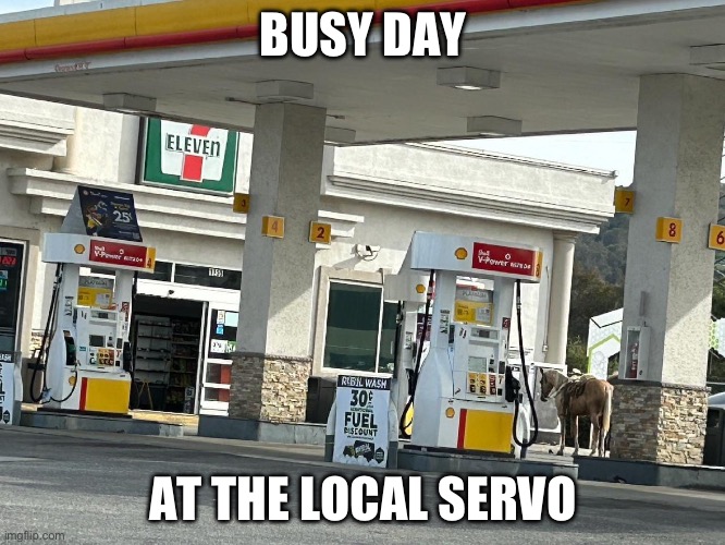 Service centre | BUSY DAY; AT THE LOCAL SERVO | image tagged in fuel,fossil fuel,nightmare fuel | made w/ Imgflip meme maker