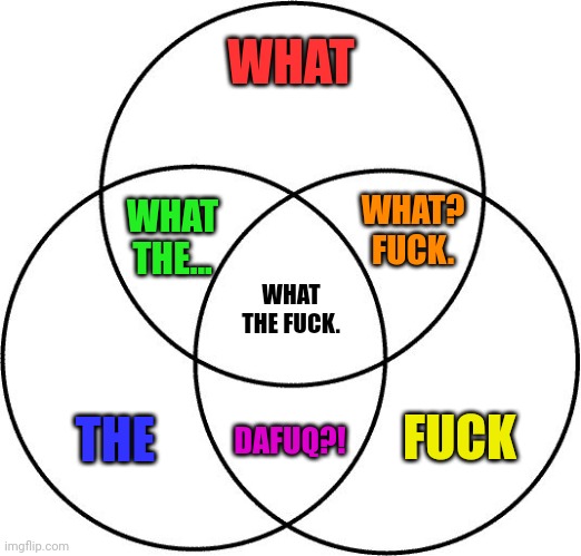 Venn diagram | WHAT THE FUCK WHAT THE... WHAT? FUCK. DAFUQ?! WHAT THE FUCK. | image tagged in venn diagram | made w/ Imgflip meme maker