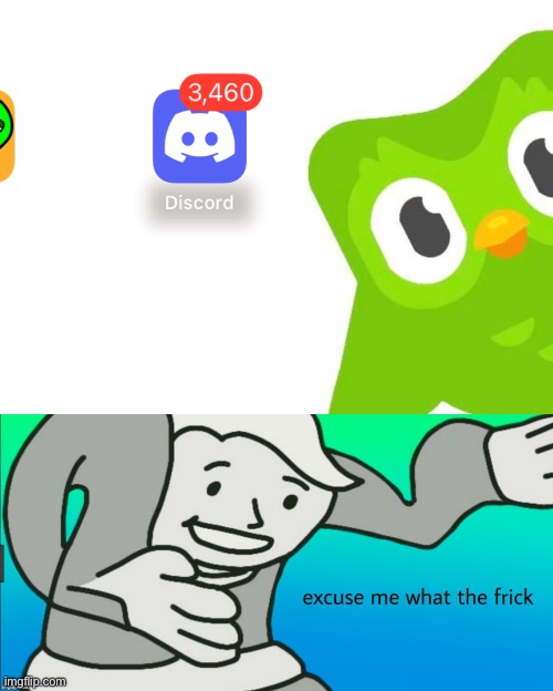 Duolingo stop | image tagged in duolingo hacked my discord | made w/ Imgflip meme maker